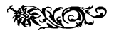 section divider
